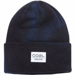 Coal The Standard Beanie