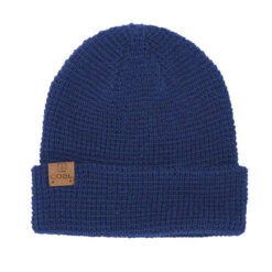 Coal The Juno Beanie