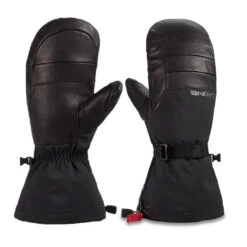 Dakine M Phoenix GORE-TEX Mitt W23