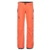 686 W Geode Thermagraph Pant -Dreamcast Store large SIX31W024