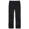 686 W Aura Insulated Cargo Pant -Dreamcast Store large SIX31W077